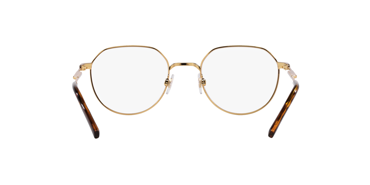 Dolce & Gabbana DG1349 02