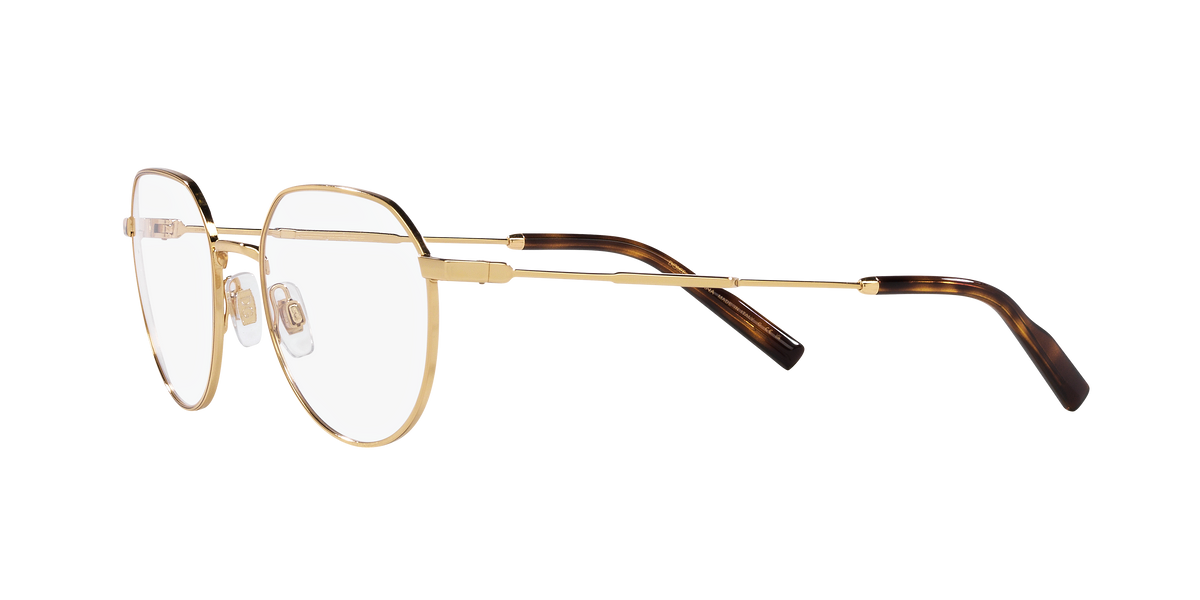 Dolce & Gabbana DG1349 02