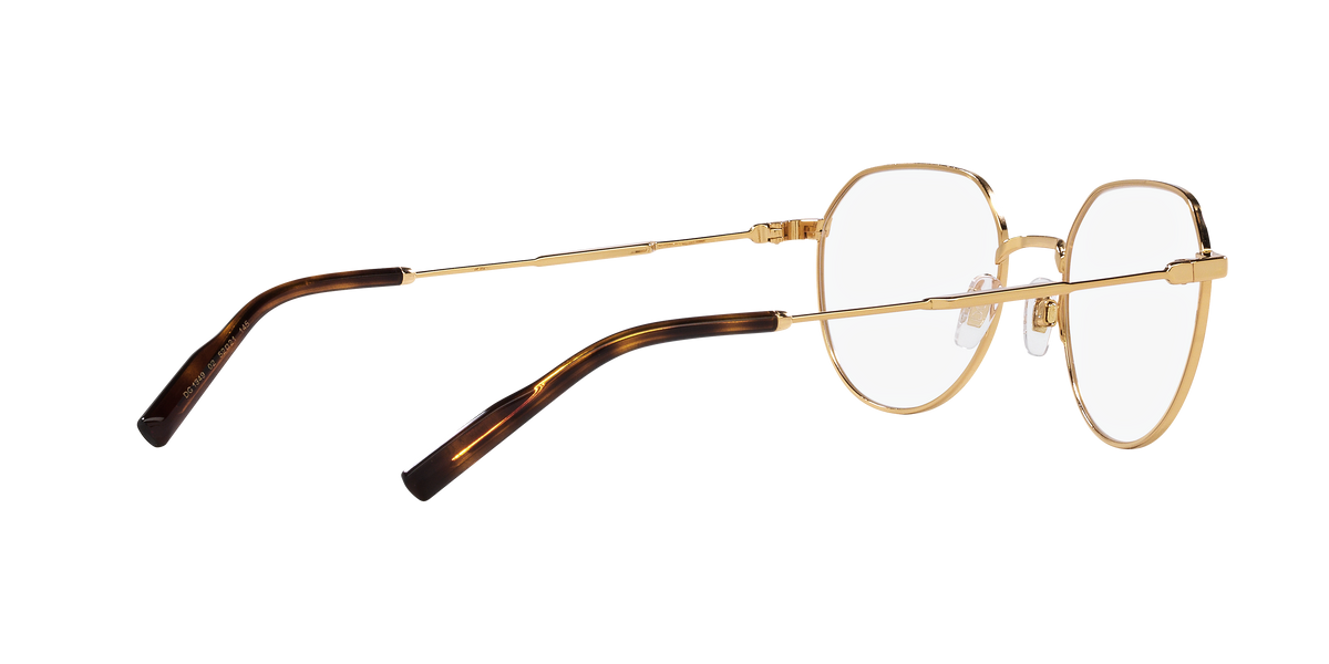 Dolce & Gabbana DG1349 02