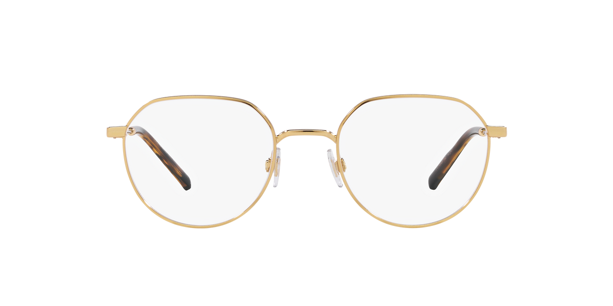 Dolce & Gabbana DG1349 02