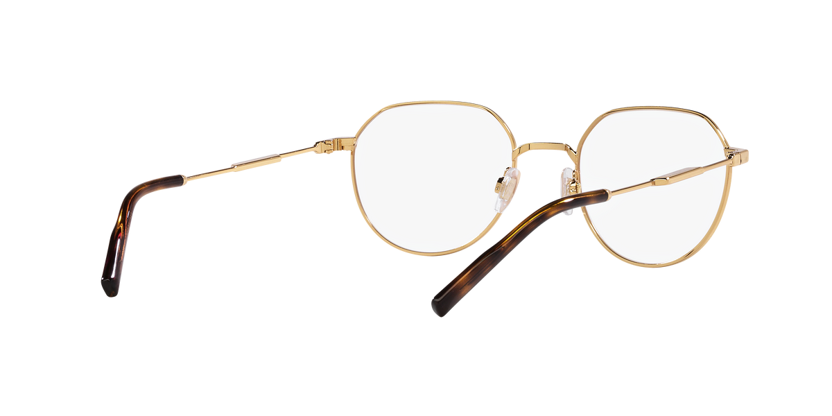 Dolce & Gabbana DG1349 02
