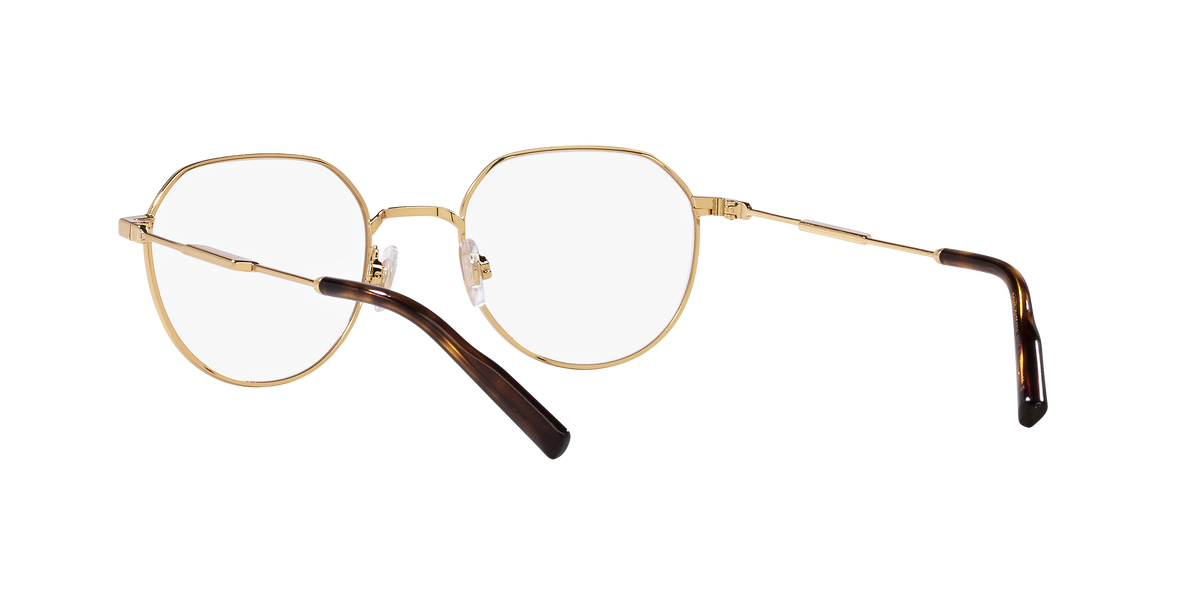 Dolce & Gabbana DG1349 02