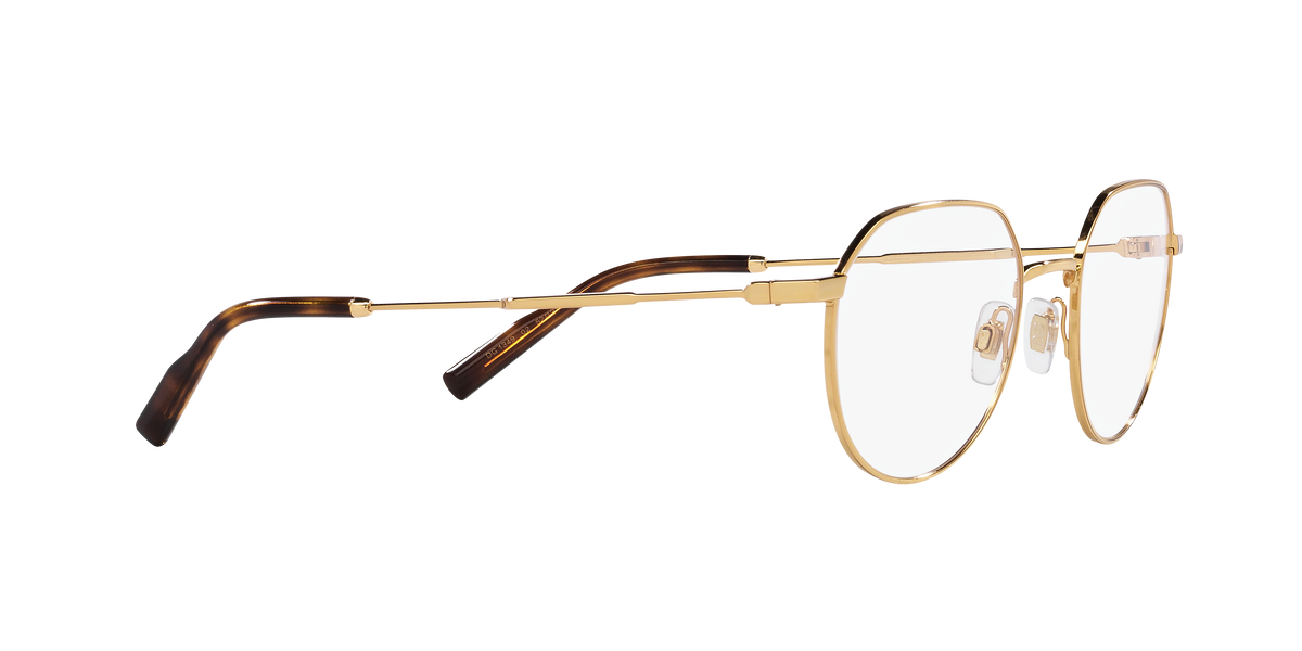 Dolce & Gabbana DG1349 02