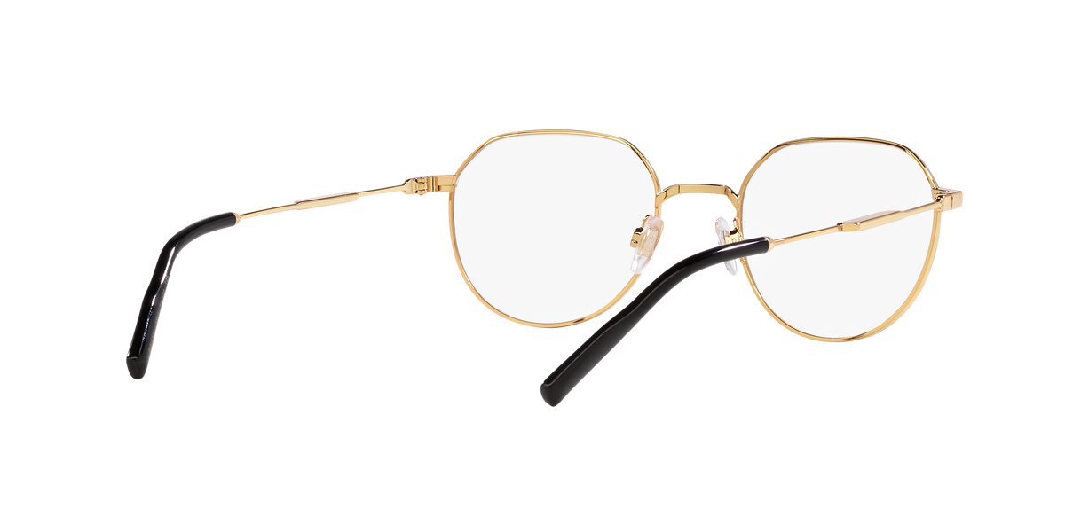 Dolce & Gabbana DG1349 1311