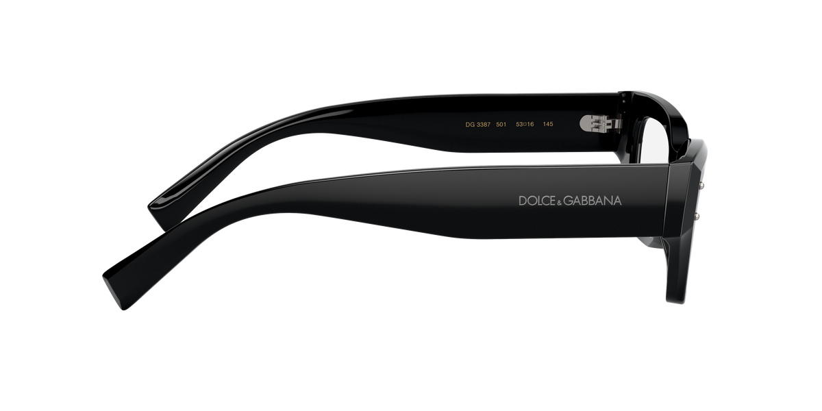 Dolce & Gabbana DG3387 501