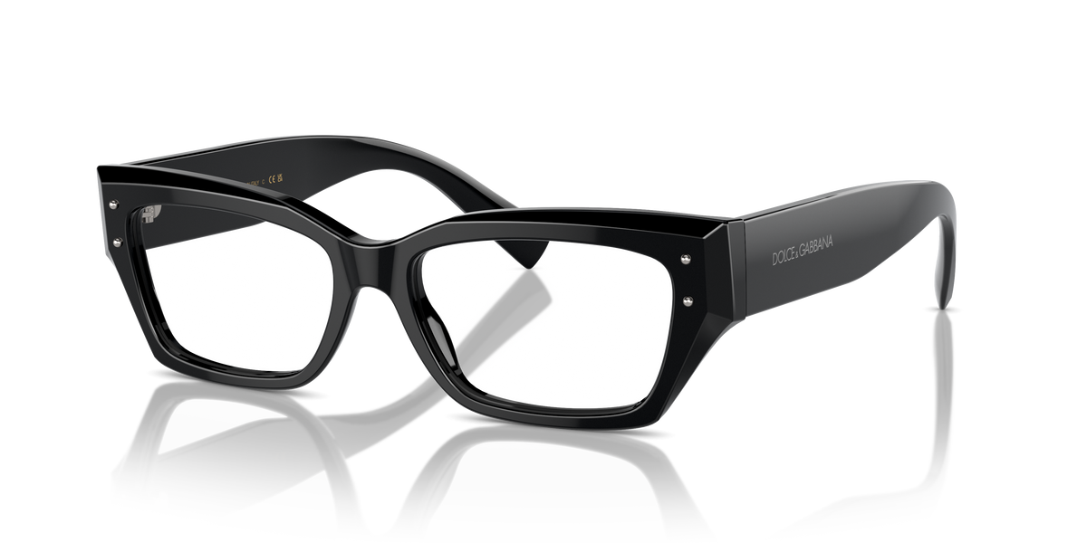Dolce & Gabbana DG3387 501