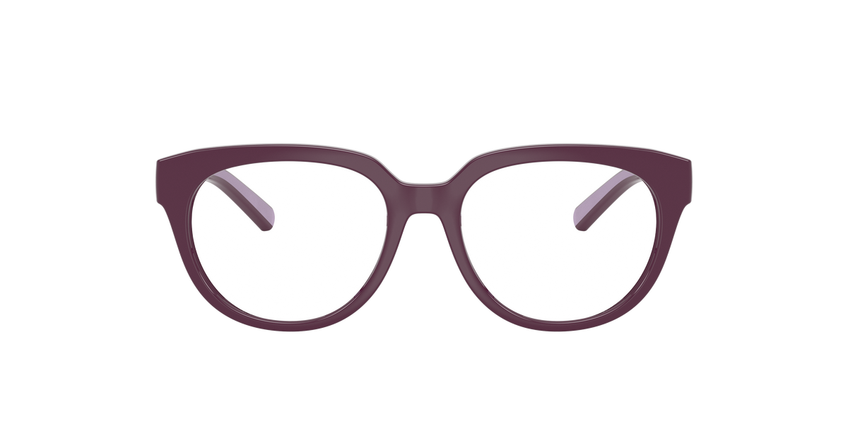 Dolce & Gabbana Kids DX5007 3360