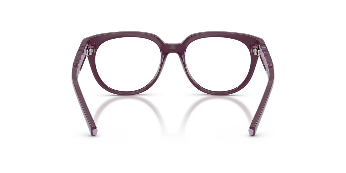 Dolce & Gabbana Kids DX5007 3360