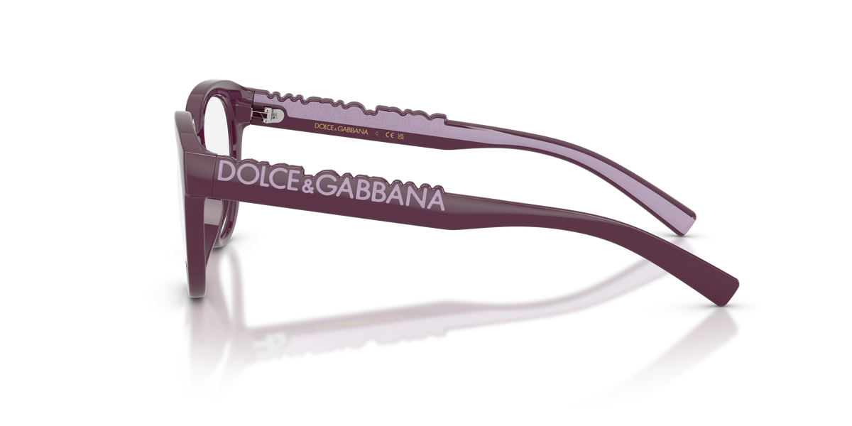 Dolce & Gabbana Kids DX5007 3360