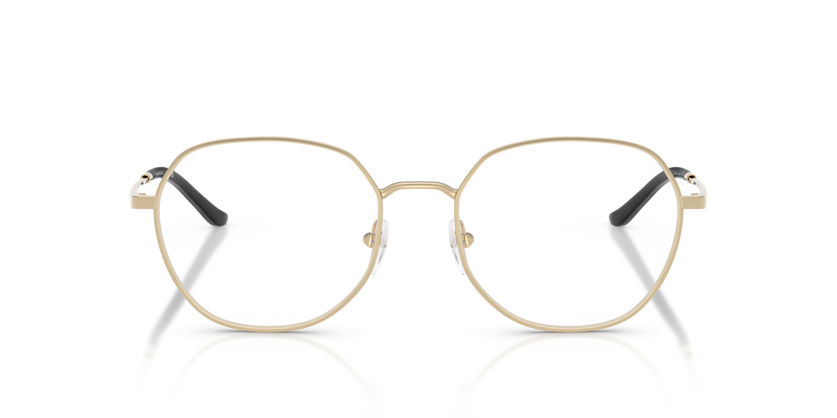 Emporio Armani EA1174D 3013