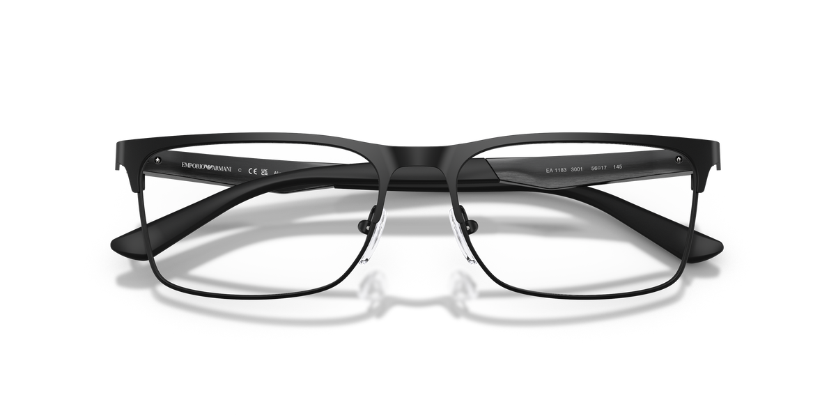 Emporio Armani EA1183 3001