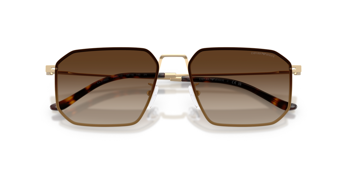 Emporio Armani EA2165D 300213