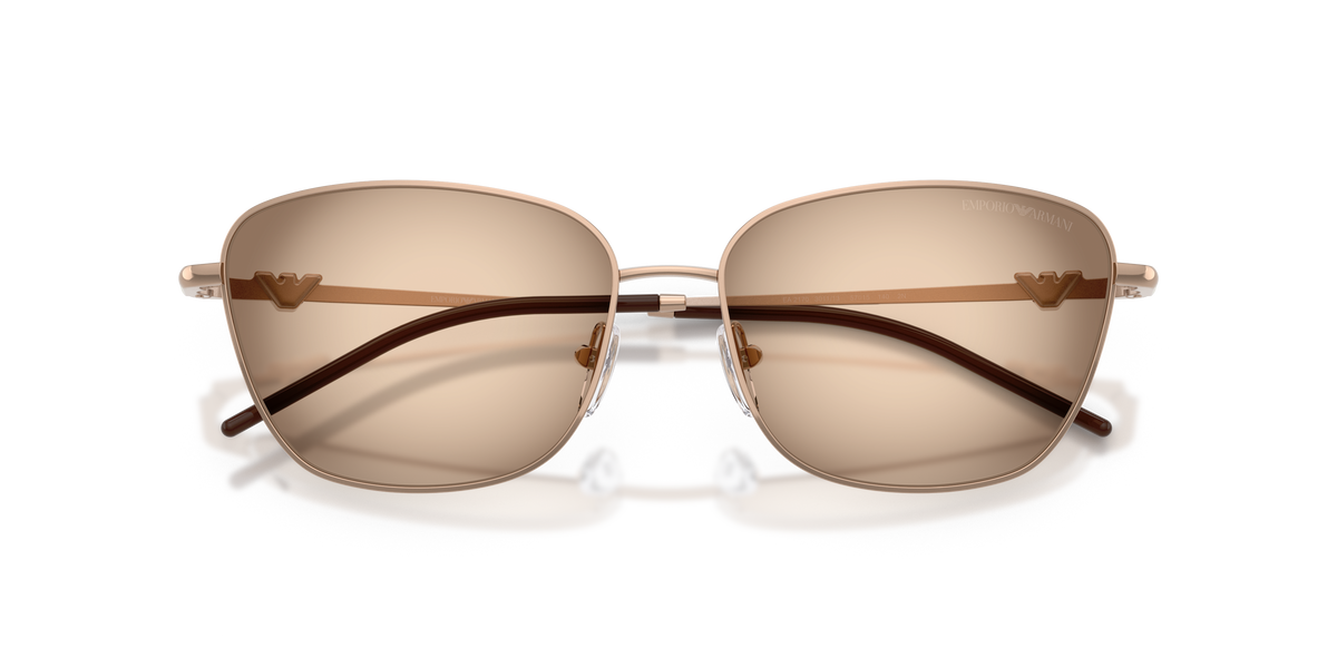 Emporio Armani EA2170 301113