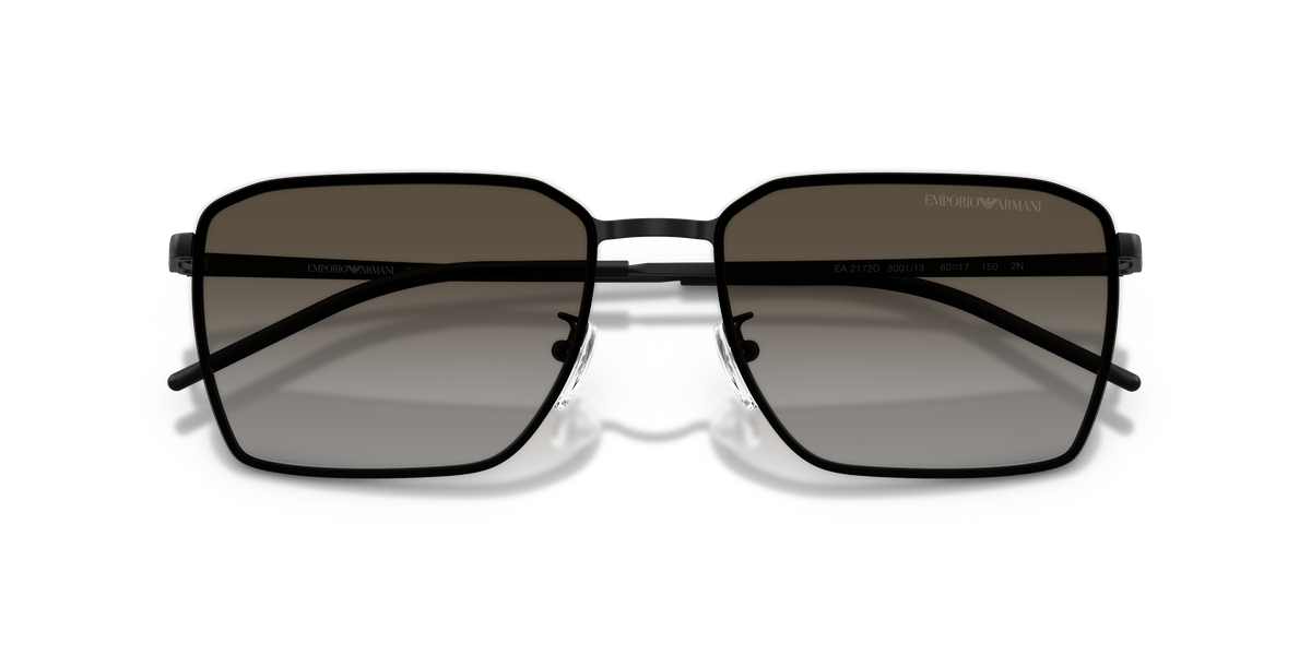 Emporio Armani EA2172D 300113