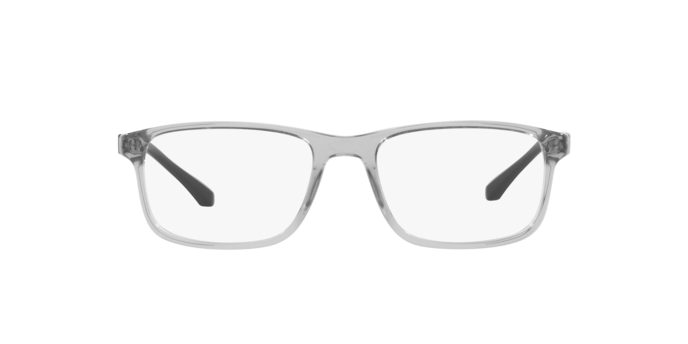 Emporio Armani EA3098 5029