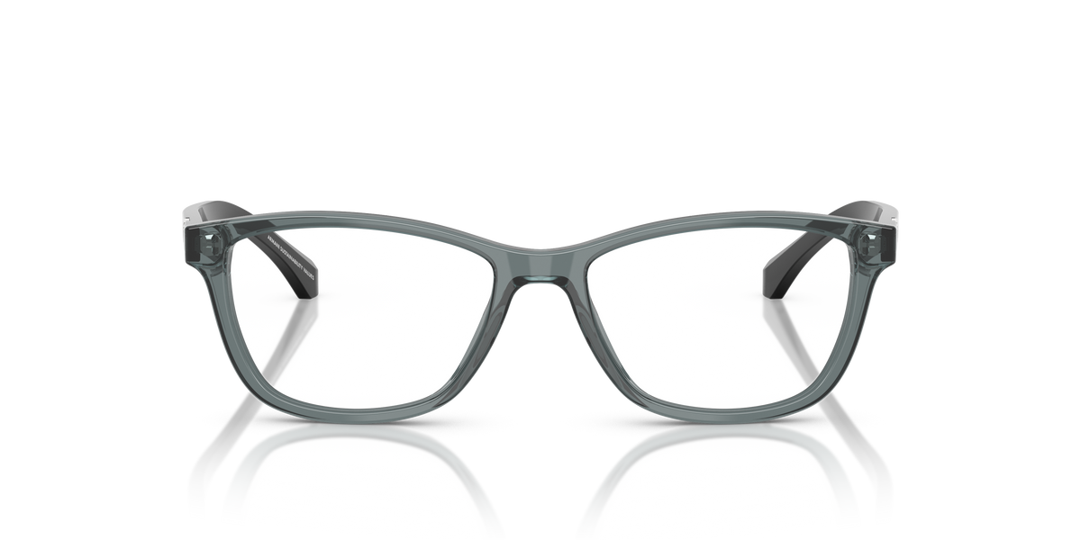 Emporio Armani EA3099 6364