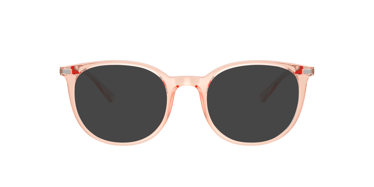 Emporio Armani EA3168 6346