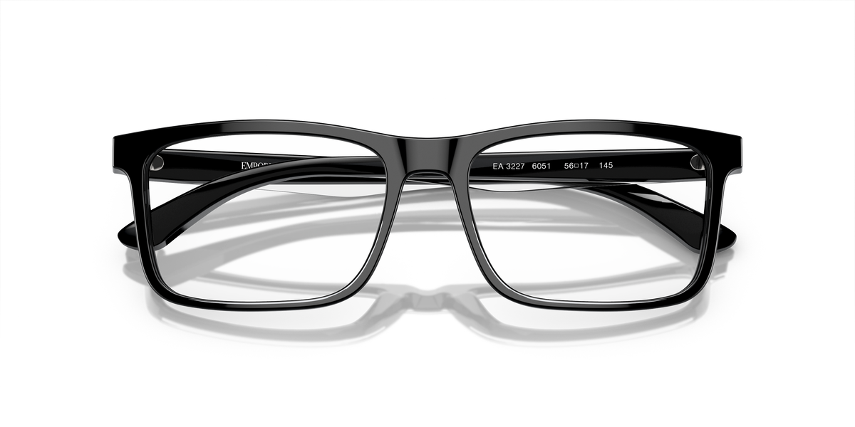 Emporio Armani EA3227 6051