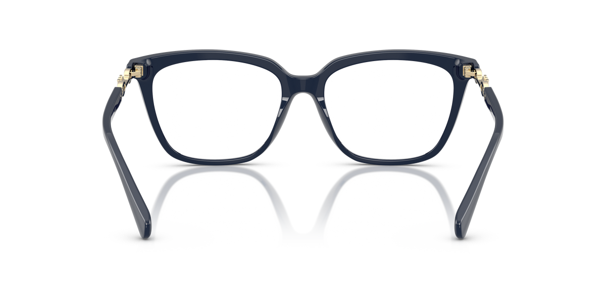 Emporio Armani EA3248 6039