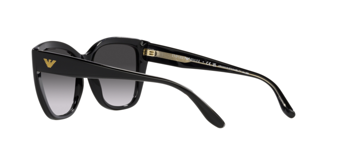 Emporio Armani EA4198 50178G