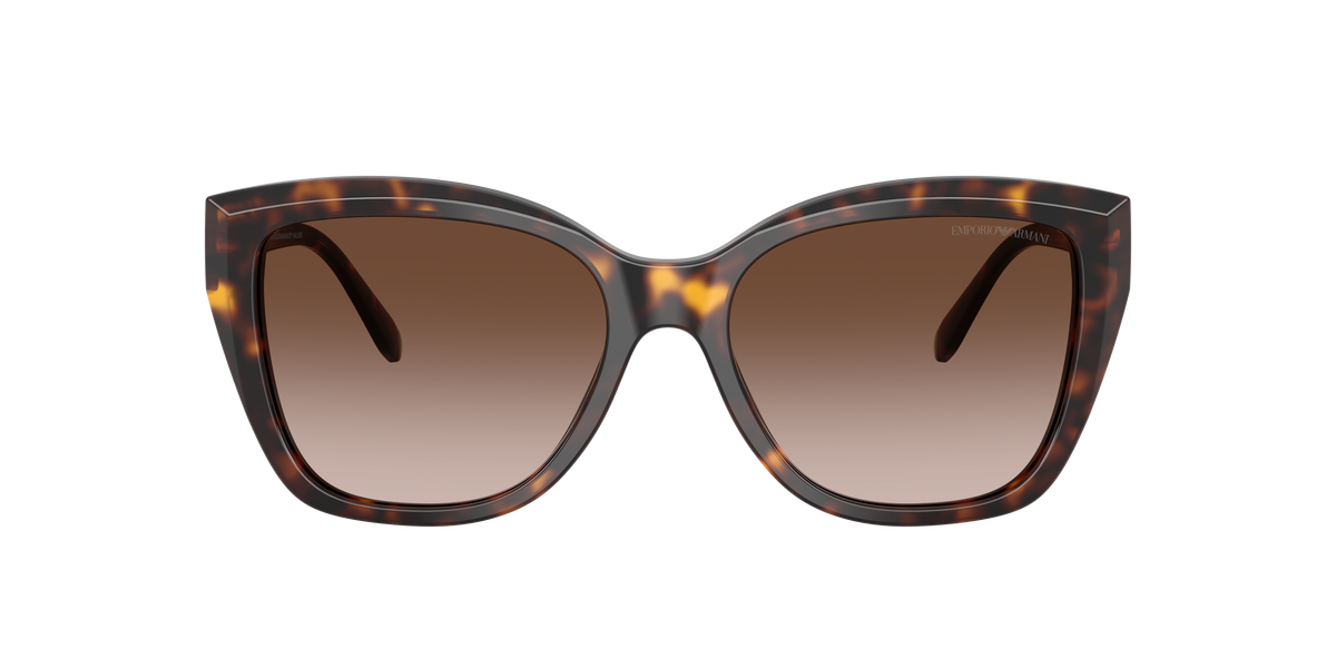Emporio Armani EA4198 502613