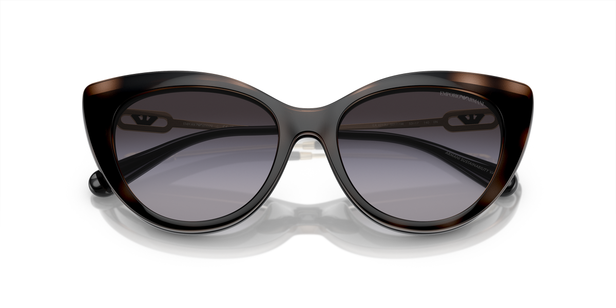 Emporio Armani EA4213U 50171W