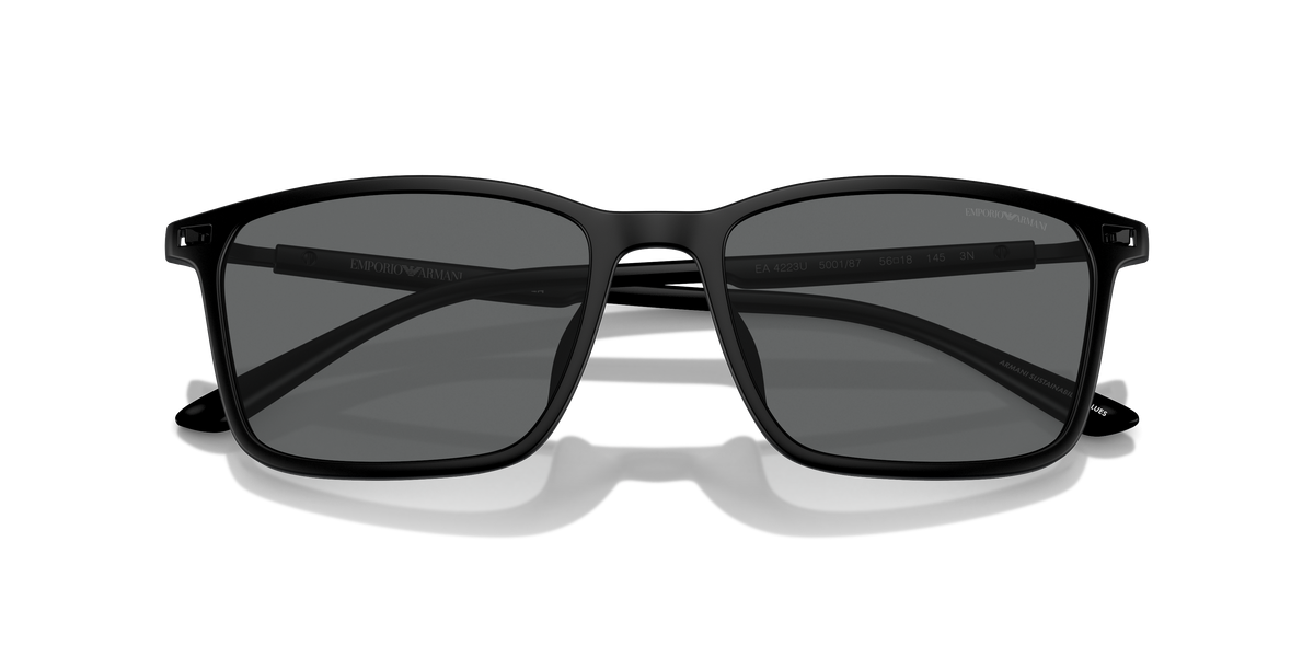 Emporio Armani EA4223U 500187