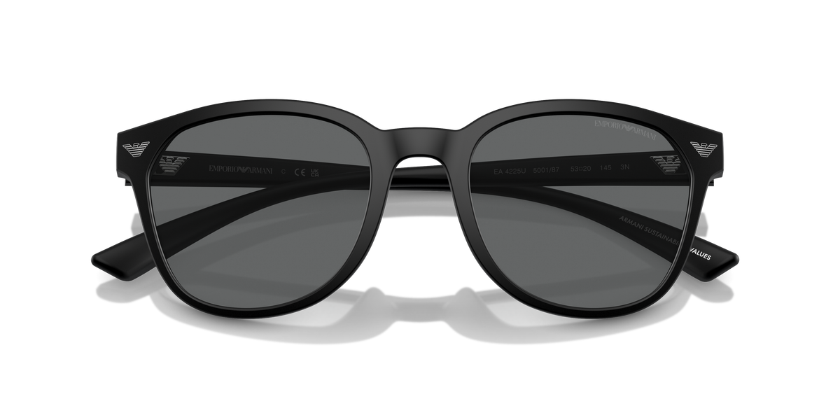 Emporio Armani EA4225U 500187