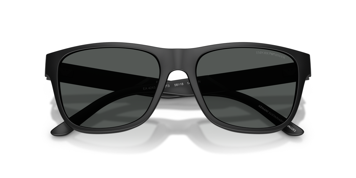 Emporio Armani EA4243 5001T3