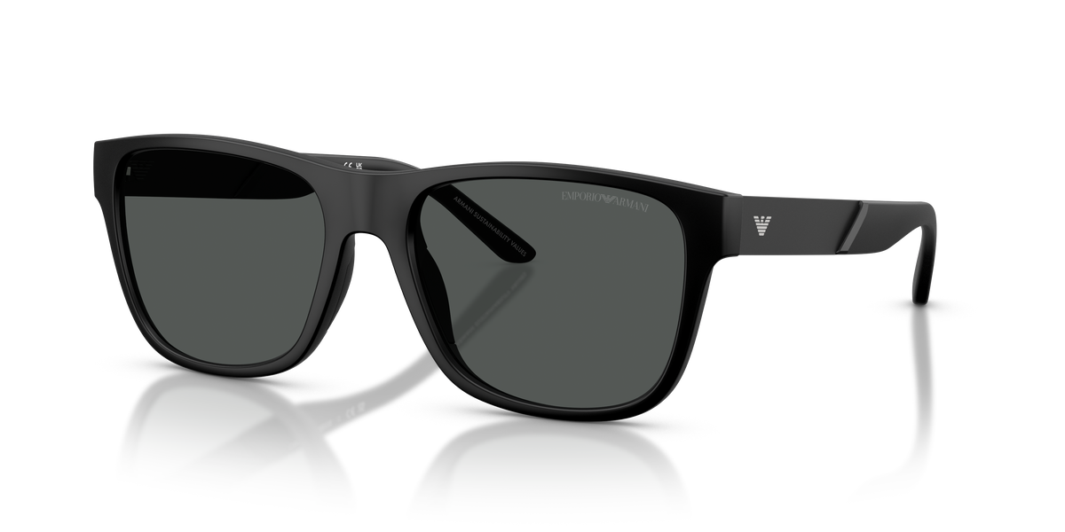 Emporio Armani EA4243 5001T3