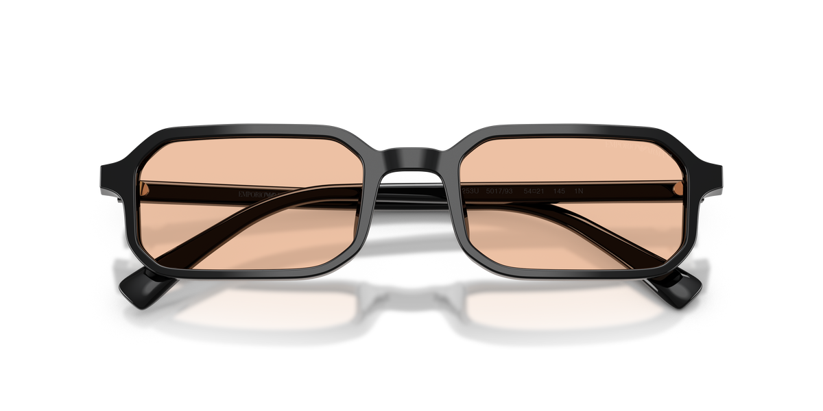 Emporio Armani EA4253U 501793