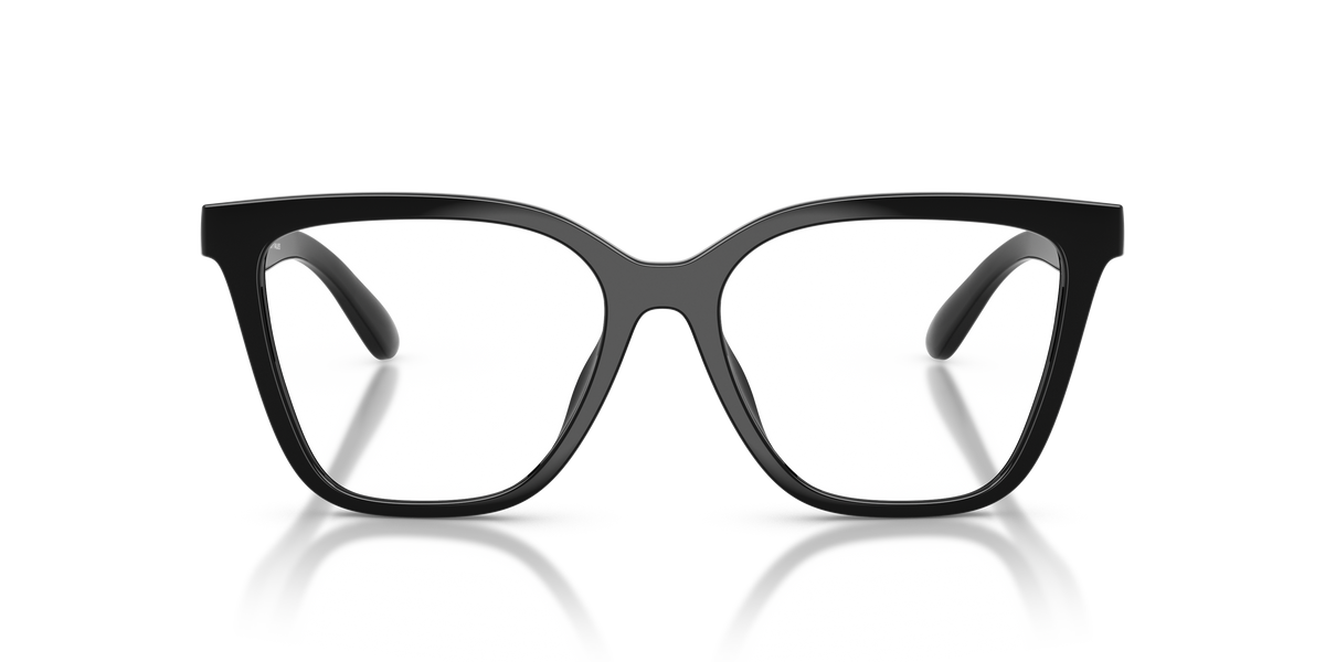 Emporio Armani EA4254U 50171W