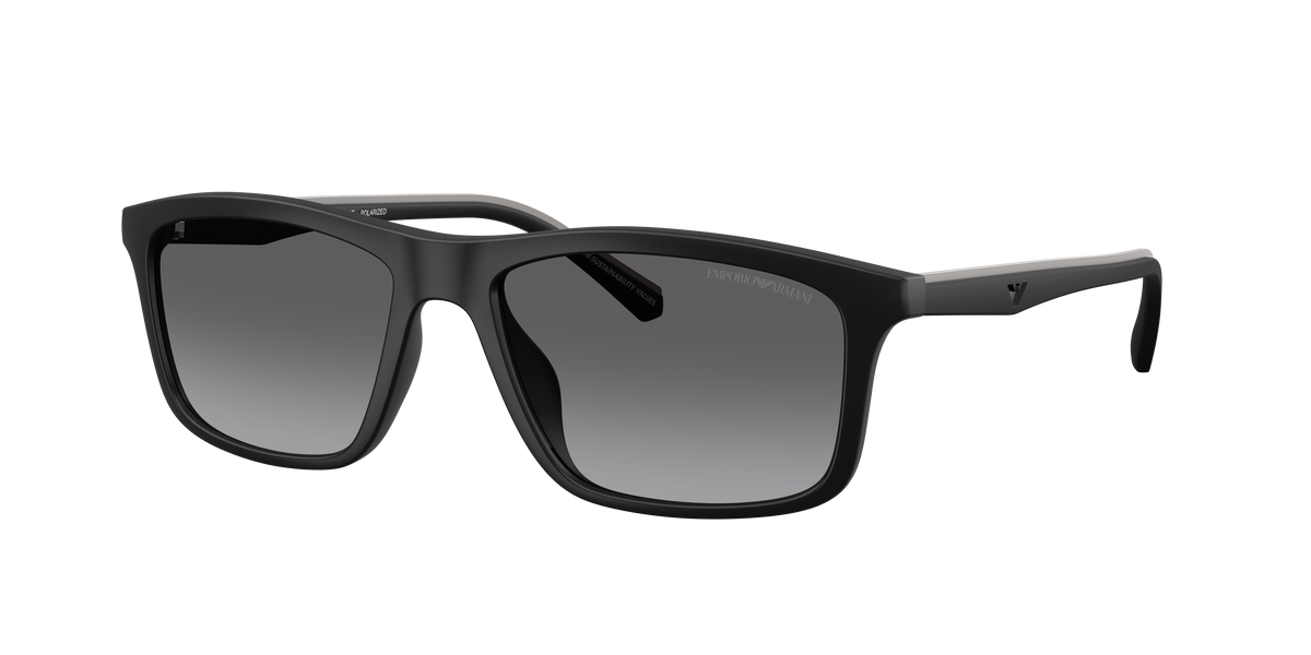 Emporio Armani EA4257U 500181
