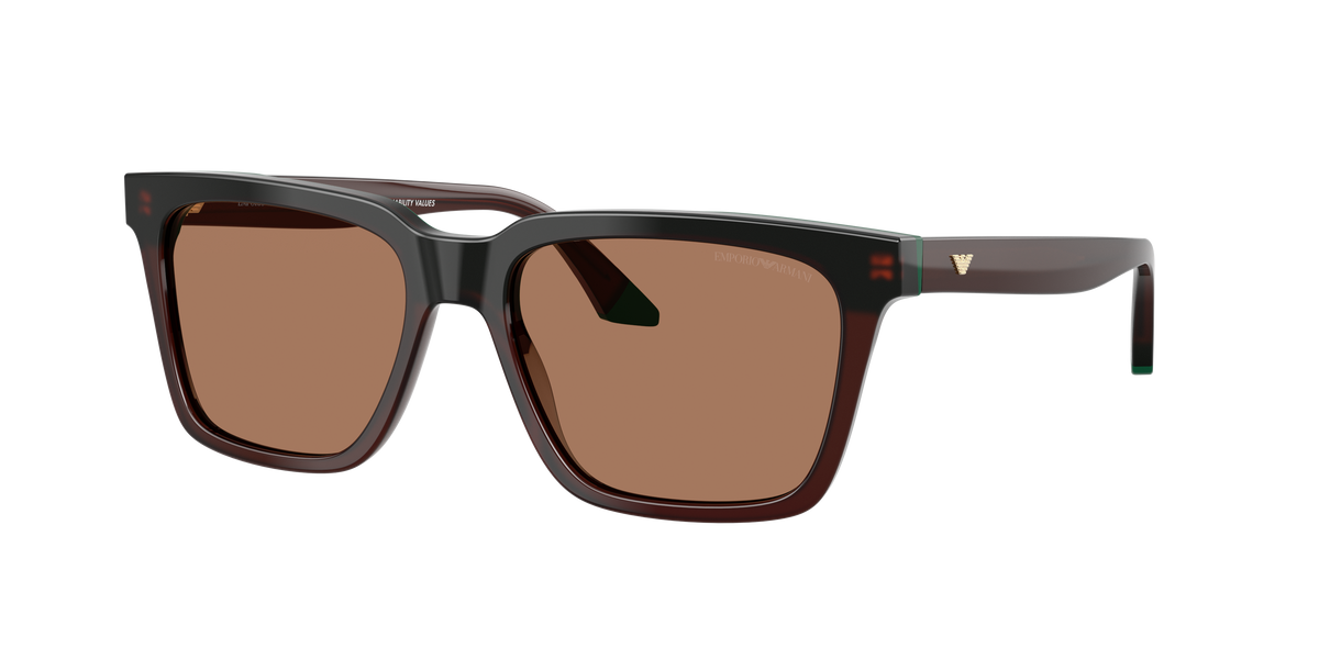 Emporio Armani EA4260 631573
