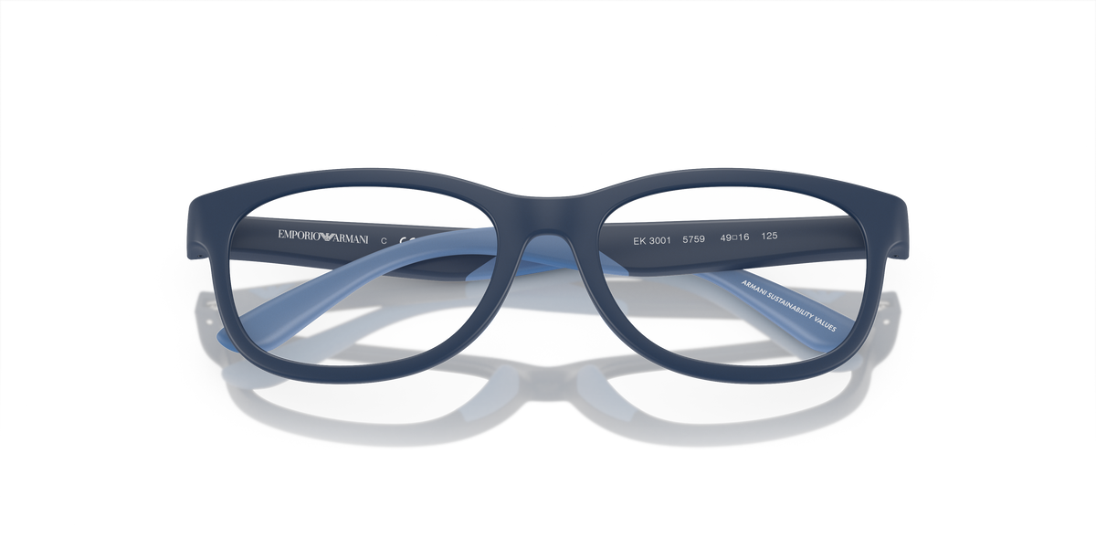 Emporio Armani EK3001 5759