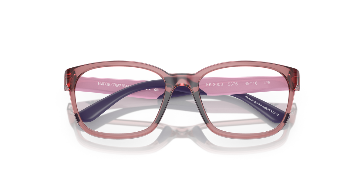 Emporio Armani EK3003 5376