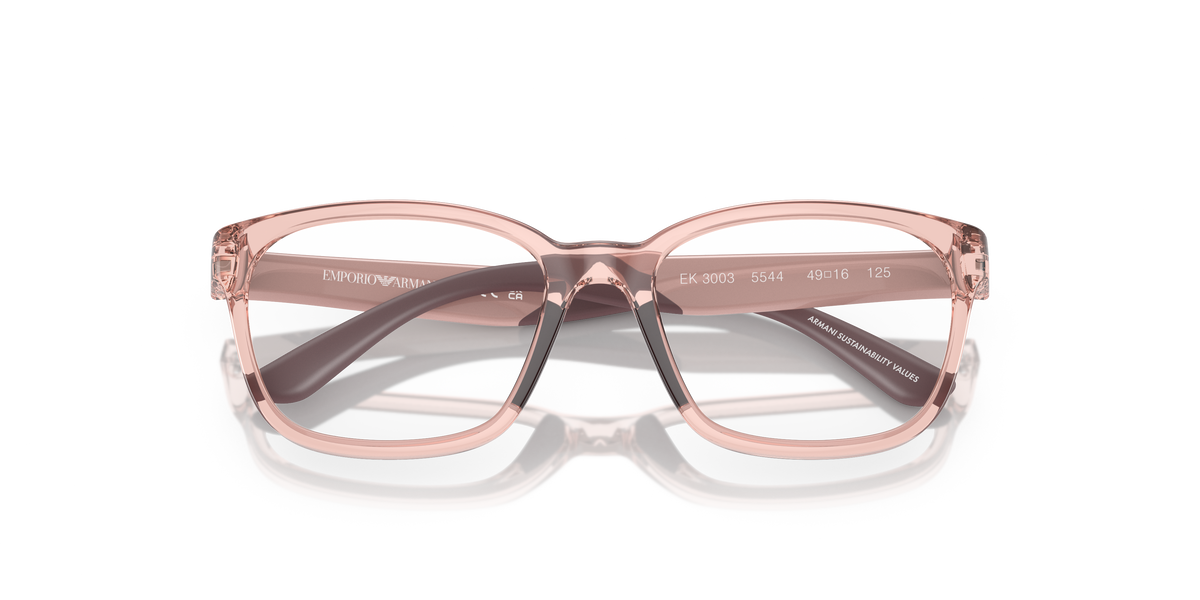 Emporio Armani EK3003 5544