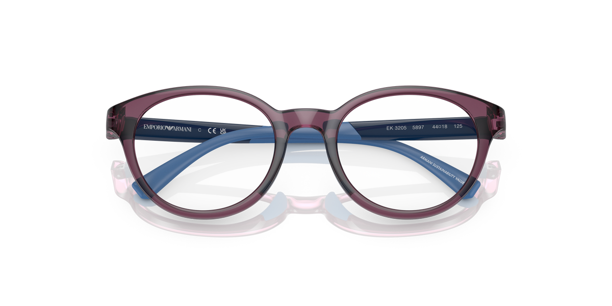 Emporio Armani EK3205 5897