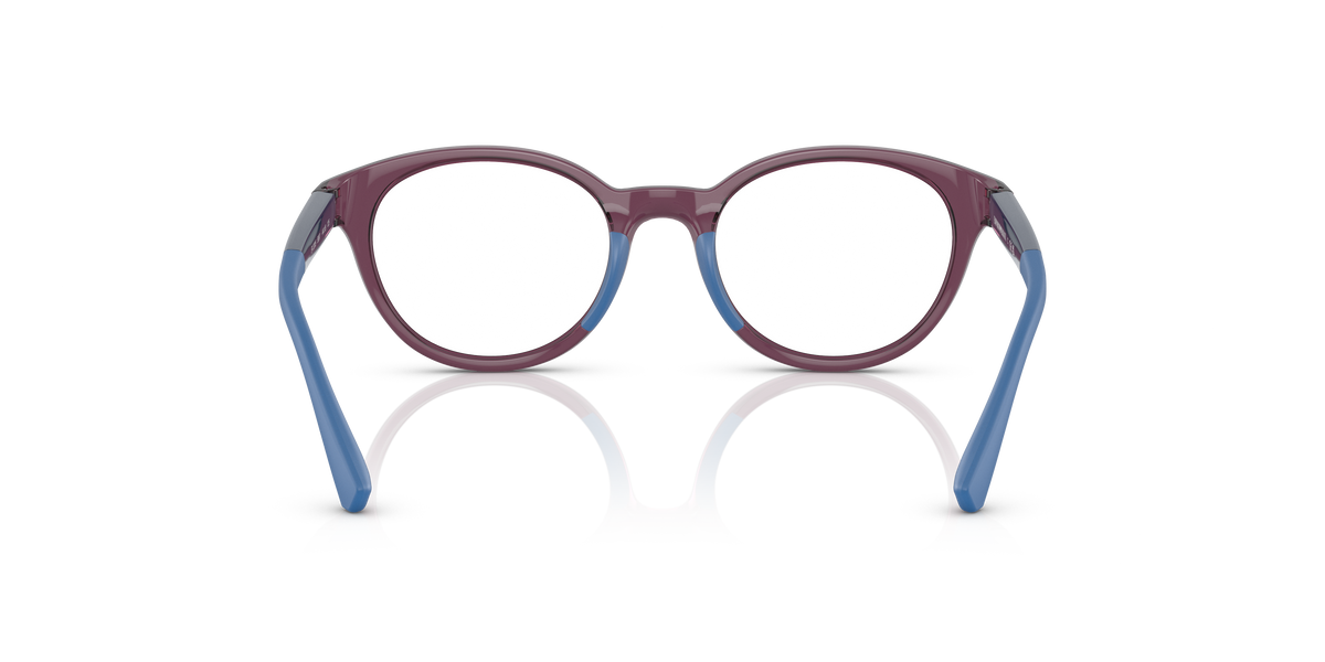Emporio Armani EK3205 5897