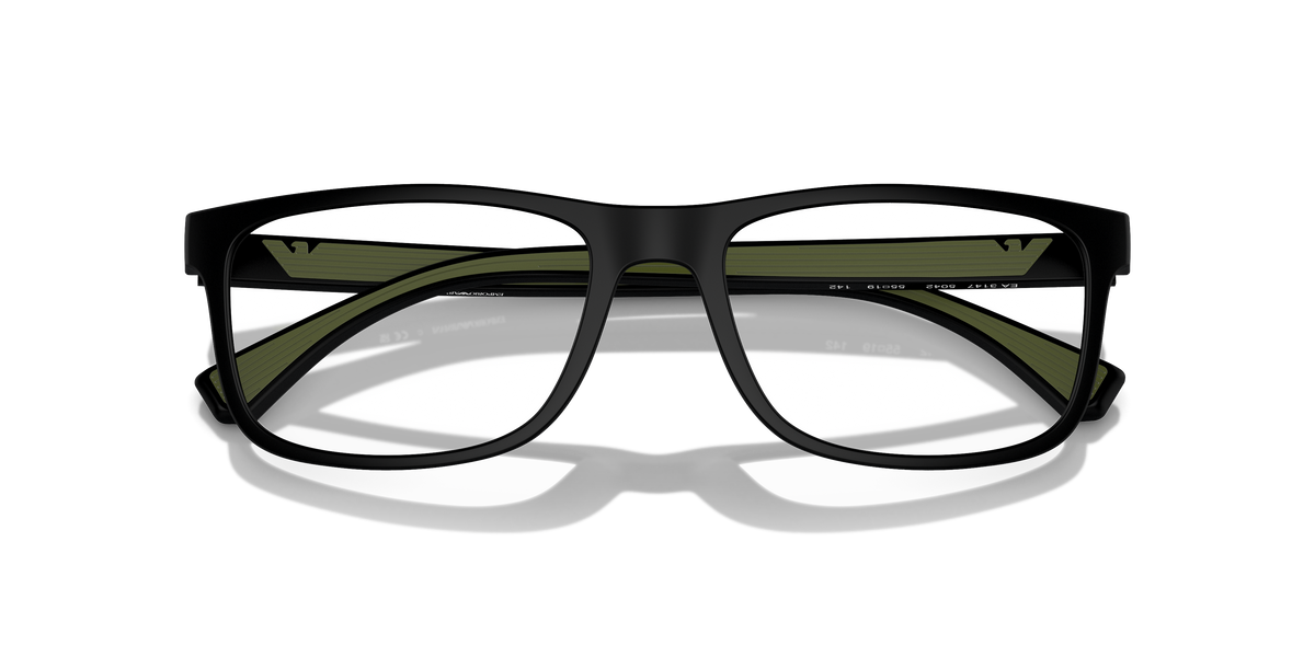Emporio Armani EA3147 5042