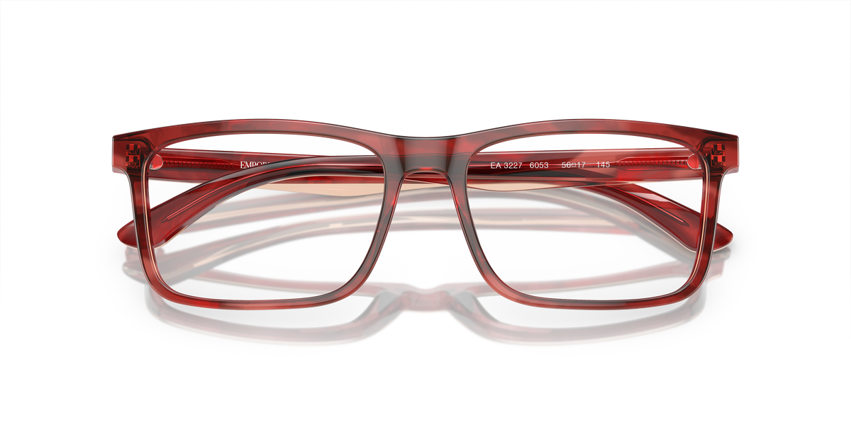 Emporio Armani EA3227 6053