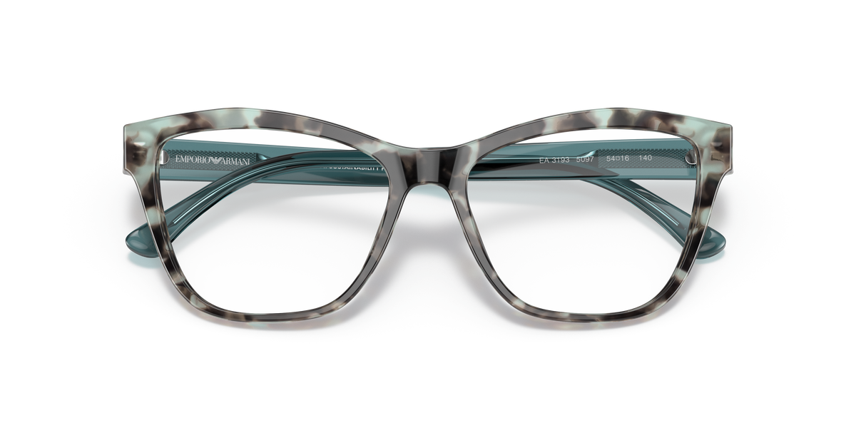 Emporio Armani EA3193 5097