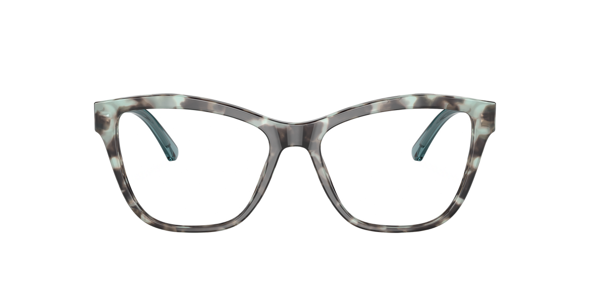 Emporio Armani EA3193 5097