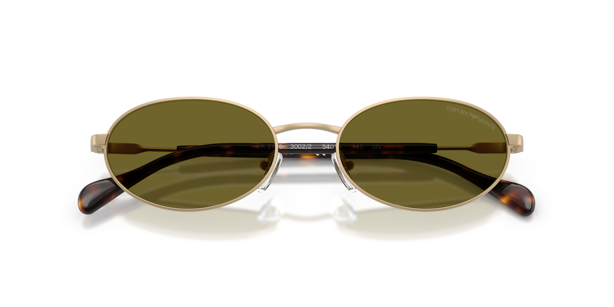 Emporio Armani EA2175 3002/2