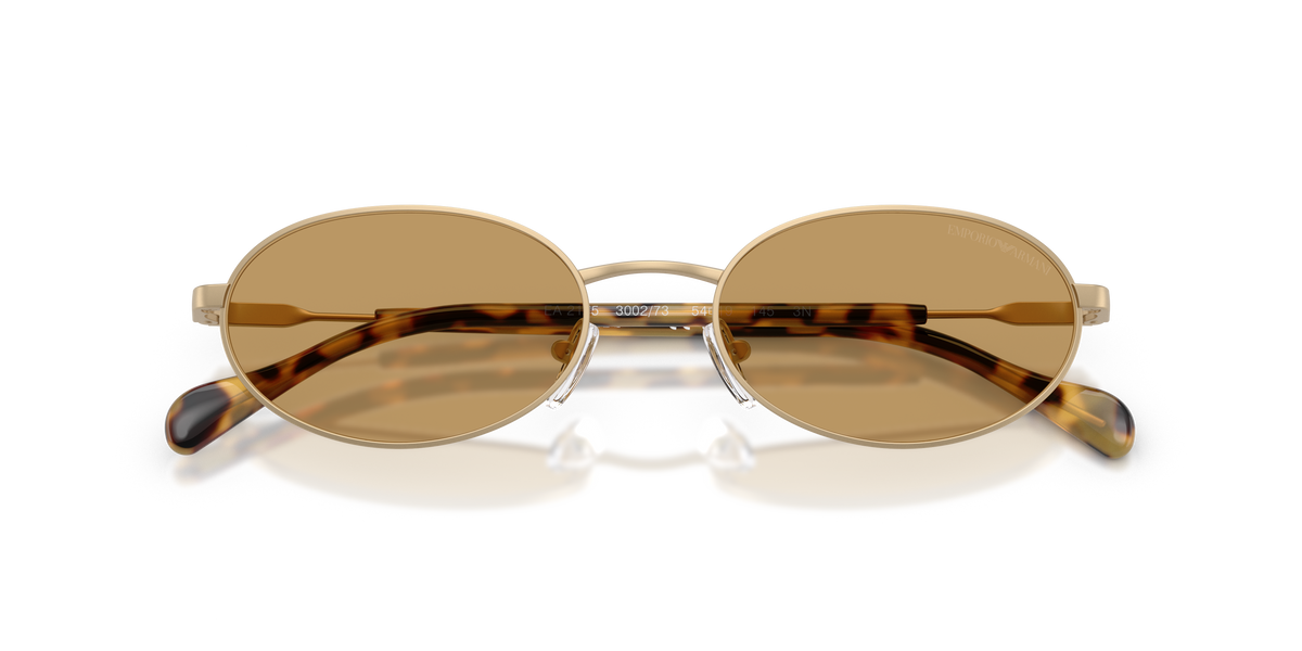 Emporio Armani EA2175 300273