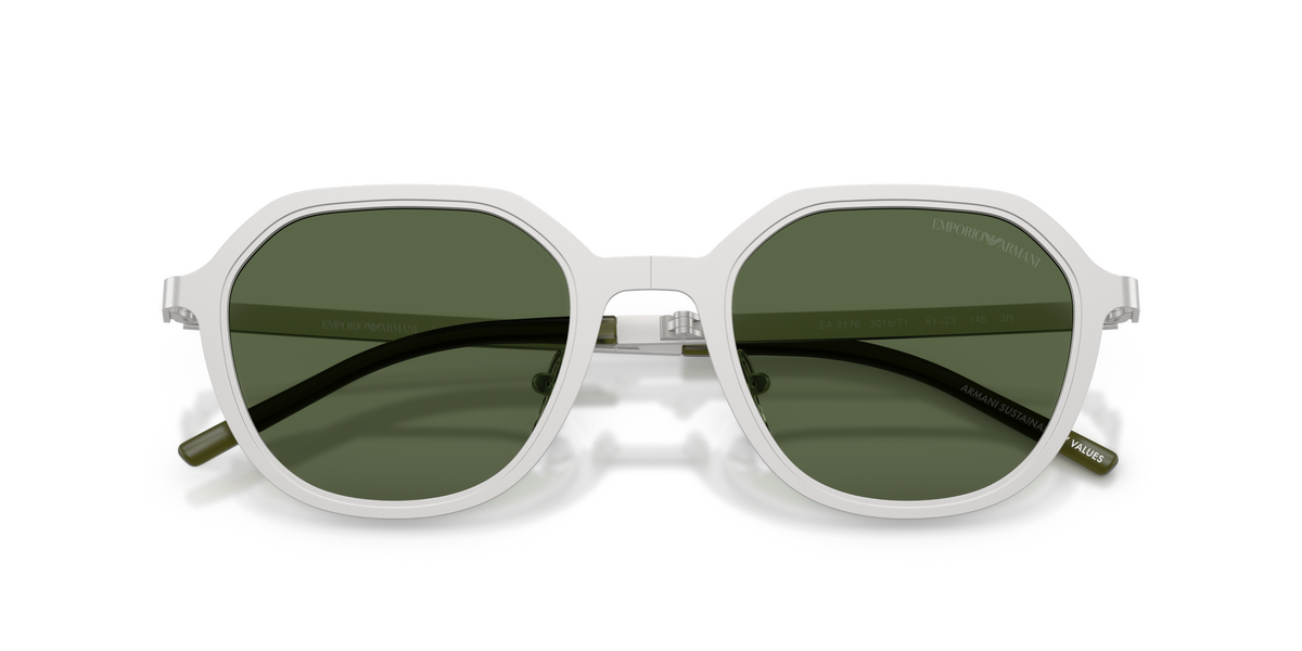 Emporio Armani EA2176 301571