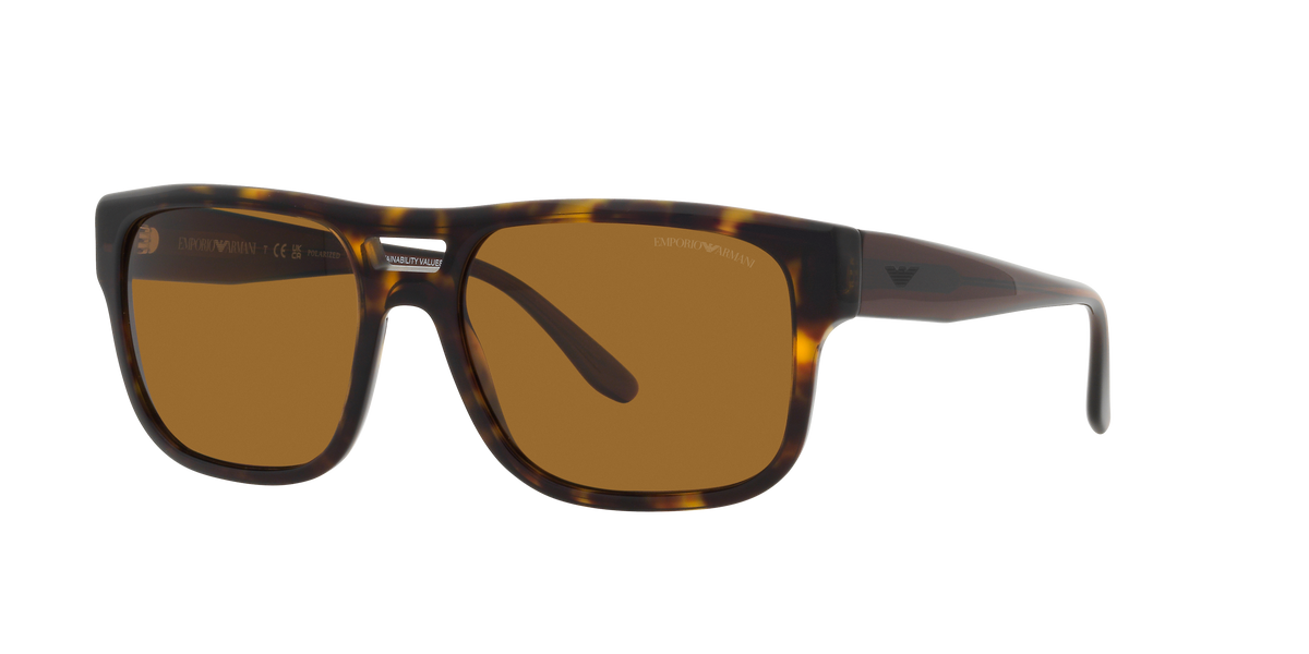 Emporio Armani EA4197 587983