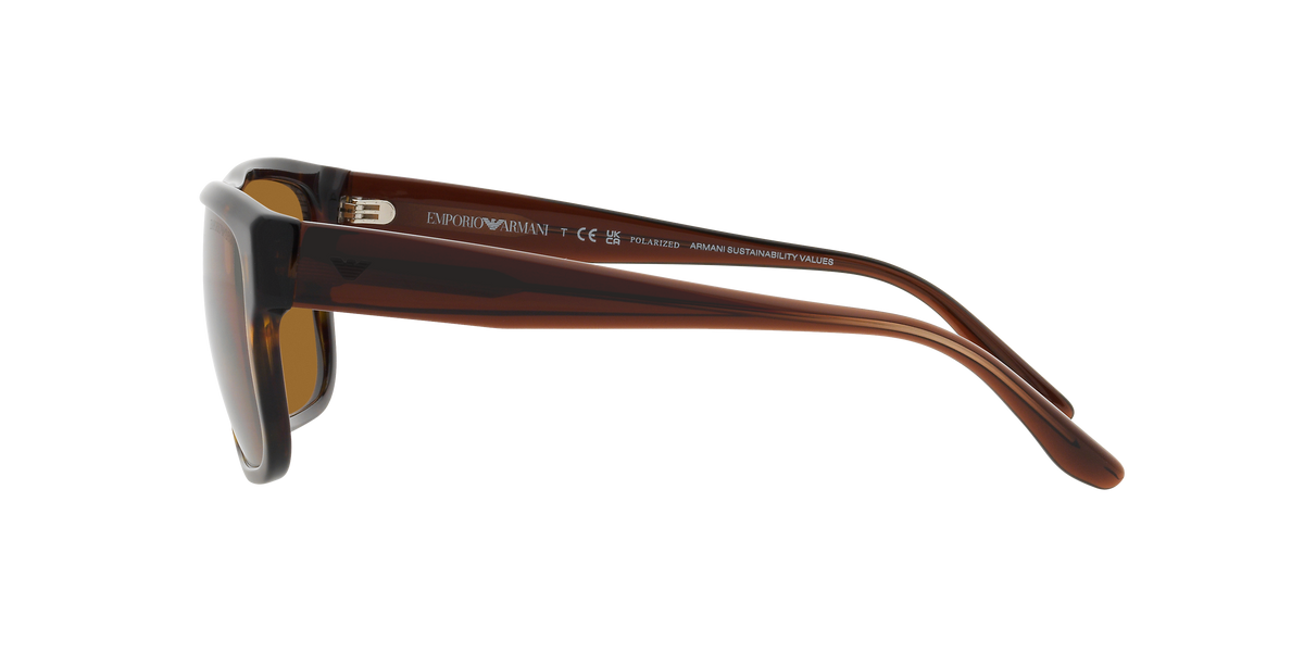 Emporio Armani EA4197 587983