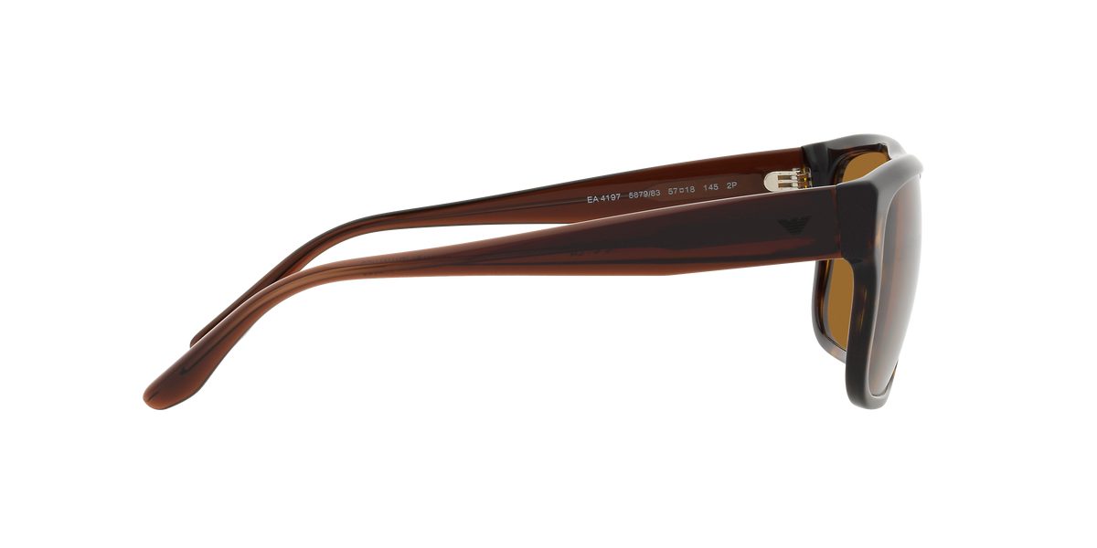 Emporio Armani EA4197 587983