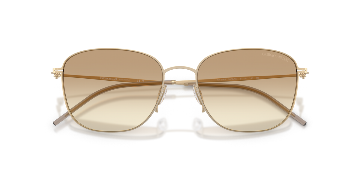 Giorgio Armani AR6168 300213